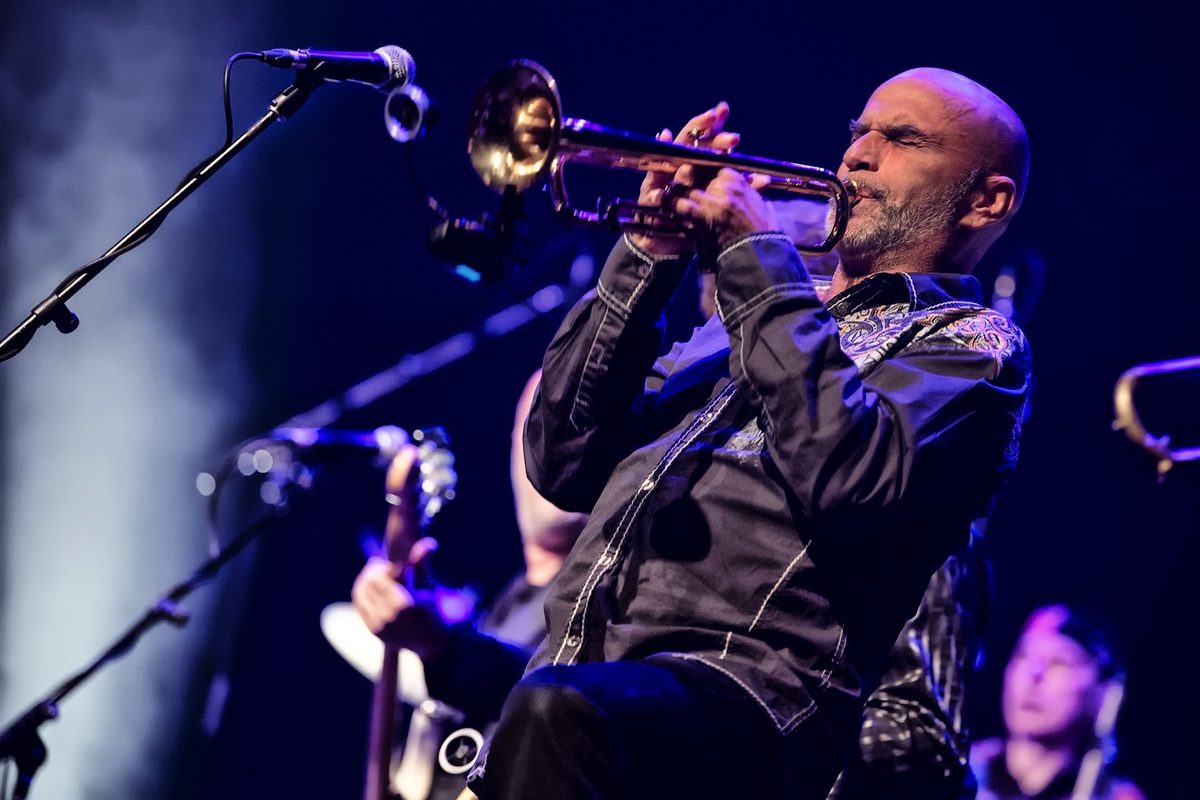 Brass Transit live